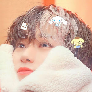 Meet your Posher, Sheila